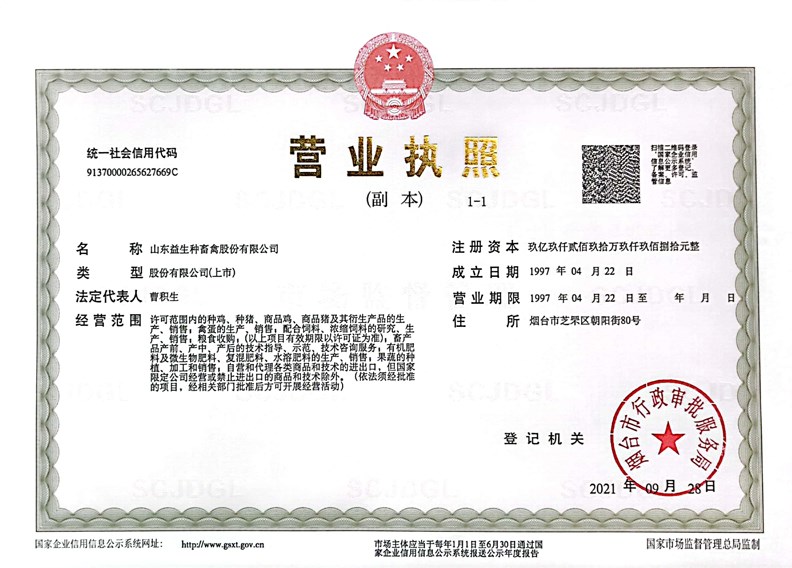 资质档案.jpg
