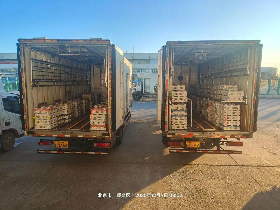 [引种】ks凯时官网股份再度引进法国种源，，，，，，龙头职位坚韧保险产业不变