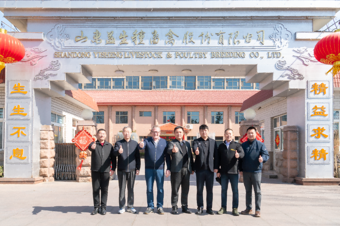【会议】中德养猪技术专项座谈会圆满闭幕 共探ks凯时官网新丹系种猪养殖高质量发展新蹊径